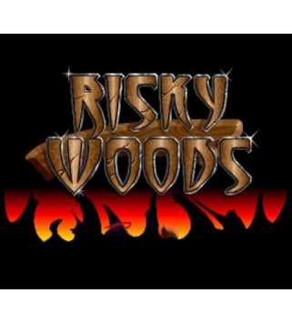 Risky Woods Steam Key GLOBAL